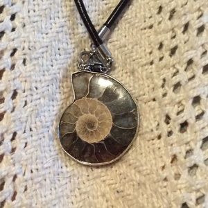 Fossil necklace